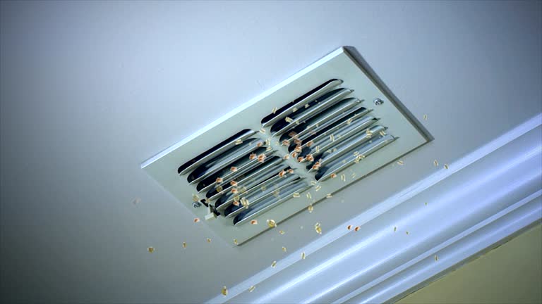 Best HVAC Duct Inspection Services  in Haines City, FL