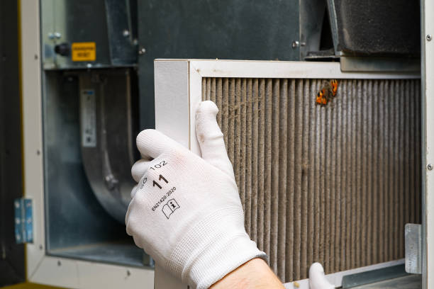 Air Quality Test in Haines City, FL