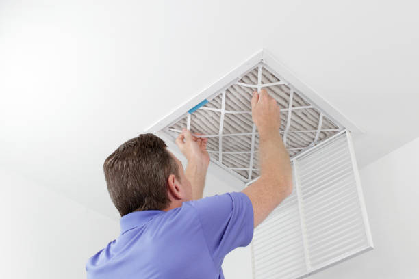 Best Local Air Duct Cleaning Services  in Haines City, FL